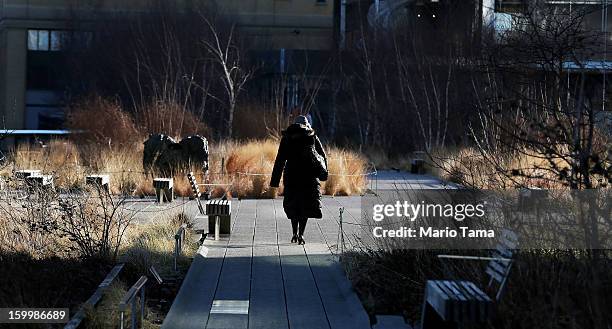 Woman bundled up against the cold walk through the High Line park in Manhattan on January 24, 2013 in New York City. Polar air settled in over the...