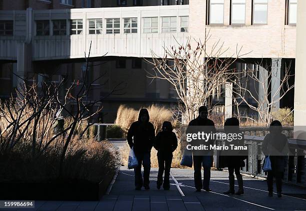 People bundled up against the cold walk through the High Line park in Manhattan on January 24, 2013 in New York City. Polar air settled in over the...