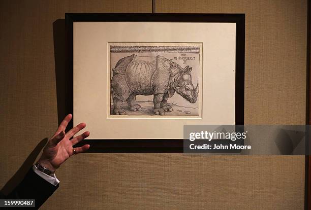 Richard Lloyd of Christie's auction house describes drawing 'The Rhinoceros' by Albrecht Durer on January 24, 2013 in New York City. The auction...