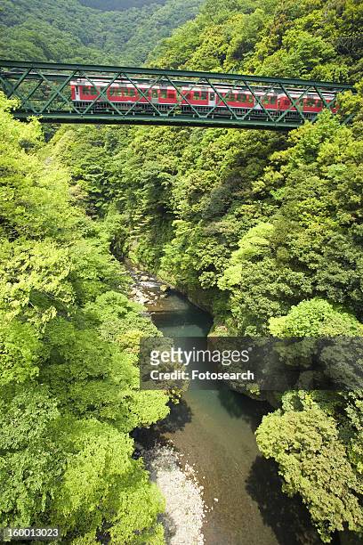 rail bridge in fuji-hakone-izu national park - fuji hakone izu national park stock-fotos und bilder