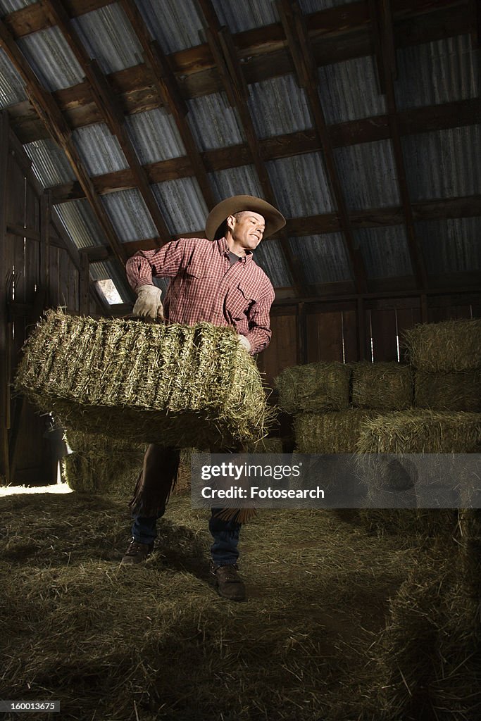 Man in Barn Moving Bales of Hay