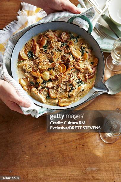 dish of chicken fricassee - casserole imagens e fotografias de stock