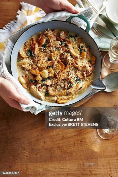 dish of chicken fricassee - casserole bildbanksfoton och bilder