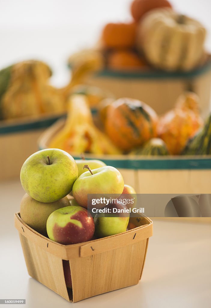 Studio shot of apples, gourds and pumpkins