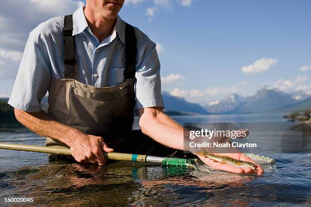 usa, montana, glacier national park, lake mcdonald, man holding juvenile western cutthroat trout - biologist stock pictures, royalty-free photos & images