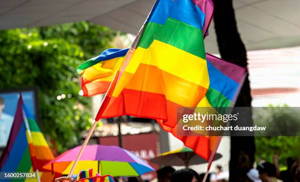 rainbow flag showing support for the lgbtq community with people at the pride event - rainbow flag stock pictures, royalty-free photos & images