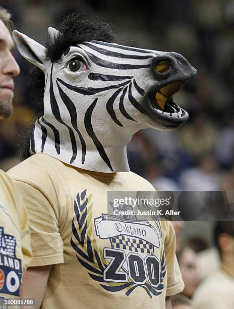 The Oakland Zoo stands during the game between the Pittsburgh Panthers and the Connecticut Huskies at Petersen Events Center on January 19, 2013 in...