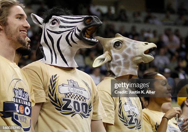 The Oakland Zoo stands during the game between the Pittsburgh Panthers and the Connecticut Huskies at Petersen Events Center on January 19, 2013 in...