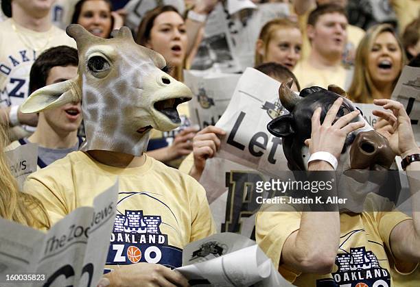 The Oakland Zoo stands during the game between the Pittsburgh Panthers and the Connecticut Huskies at Petersen Events Center on January 19, 2013 in...
