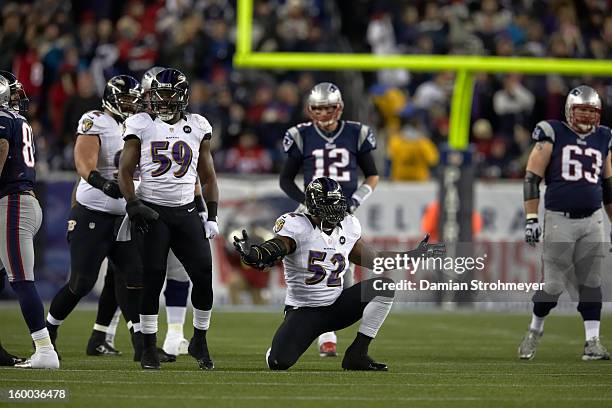Playoffs: Baltimore Ravens Ray Lewis victorious during game vs New England Patriots at Gillette Stadium. Foxborough, MA 1/20/2013 CREDIT: Damian...