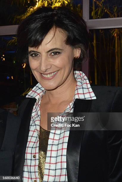 Ines de La Fressange attends the Sidaction Gala Dinner 2013 at Pavillon d'Armenonville on January 24, 2013 in Paris, France.
