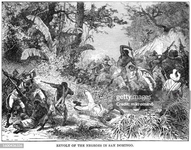 old engraved illustration of revolt of the negroes in san domingo (under the leadership of toussaint louverture, a former slave, the rebels fought off british and spanish attacks and even liberated enslaved people on the spanish side of the island) - lead off stock pictures, royalty-free photos & images