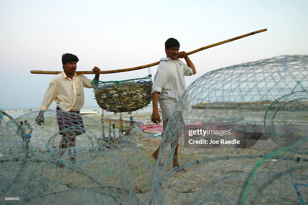Fishermen Unload Day's Catch In Bahrain