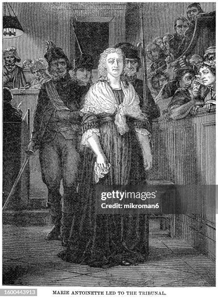 portrait of french queen marie antoinette being condemned to death by the revolutionary tribunal in october 1793 - woman body painting stock pictures, royalty-free photos & images