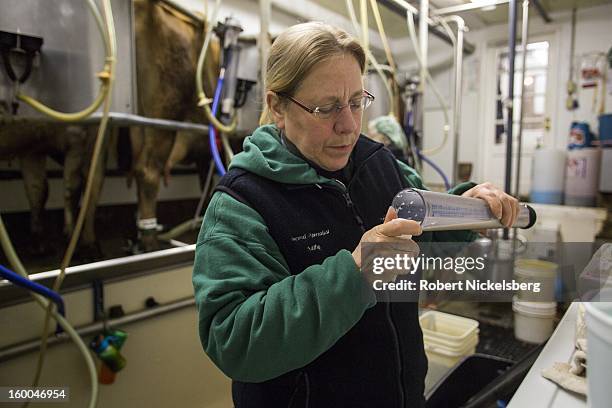 Kathy O'Leary, a field technician with the Vermont Dairy Herd Improvement Agency, takes a sample of raw cow's milk for testing January 10, 2013 in...