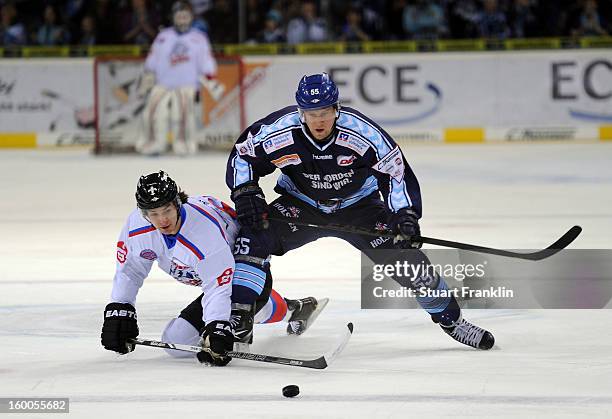 Patrick Koppchen of Hamburg is challenged by Daniel Weiss of the Ice Tiger during the DEL game between Hamburg Freezers and Thomas Sabo Ice Tigers at...
