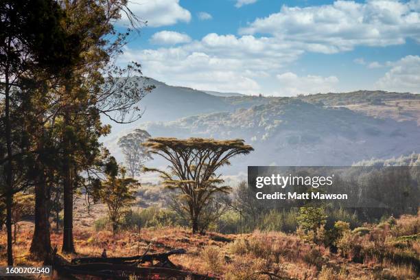 16 Nyanga National Park Stock Photos High Res Pictures And Images 16-nyanga-national-park-stock-photos-high-res-pictures-and-images