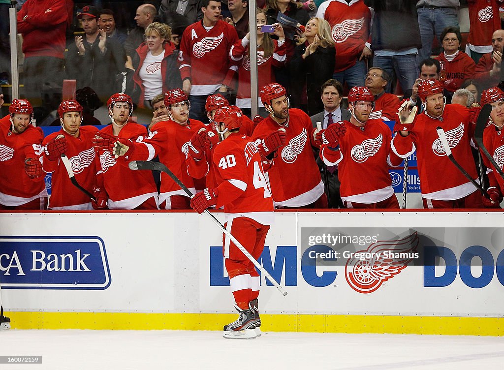 Minnesota Wild v Detroit Red Wings