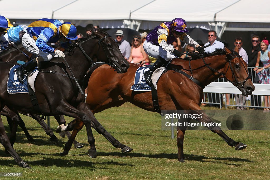 Wellington Cup Day