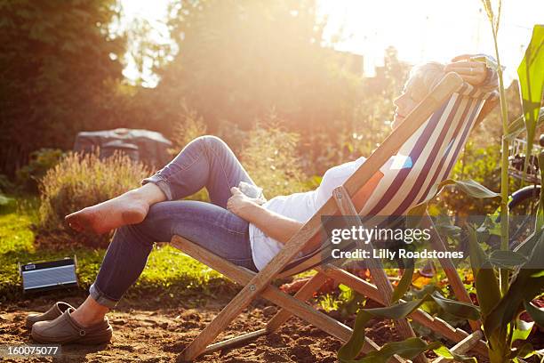 woman relaxing on allotment - liegestuhl stock-fotos und bilder