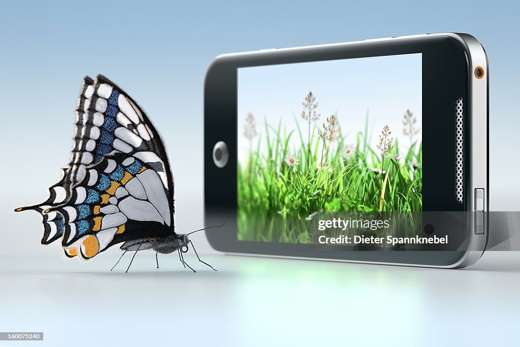 Butterfly in front of smartphone displaying grass