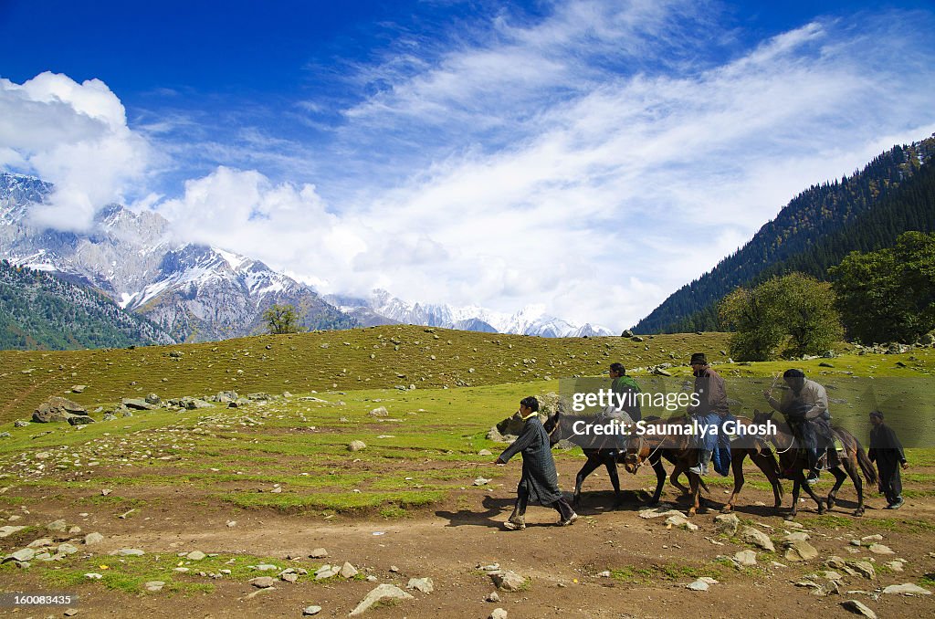 Journey to the Sonmarg valley