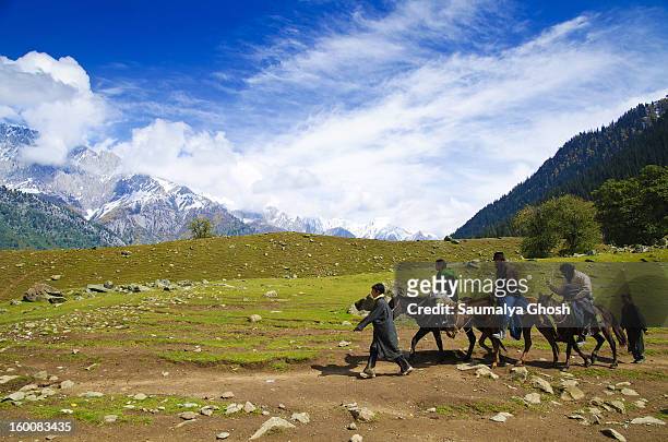 Ponywallahs are taking tourists to the Thajiwas glacier in Sonmarg valley. Three tourists are enjoying the pony ride in a pleasant weather.