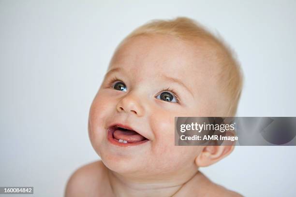 alegre bebé - colmillo fotografías e imágenes de stock