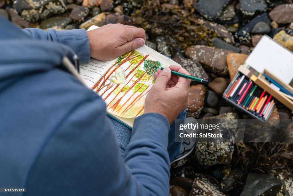 Drawing in a Sketch Book