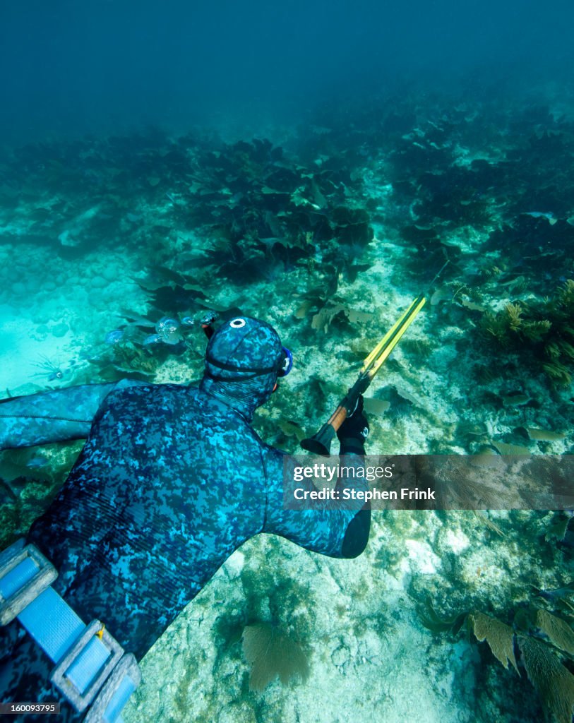 Spearfishing on Snorkel Equipment