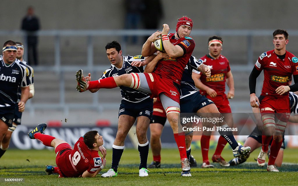 Sale Sharks v Scarlets - LV= Cup