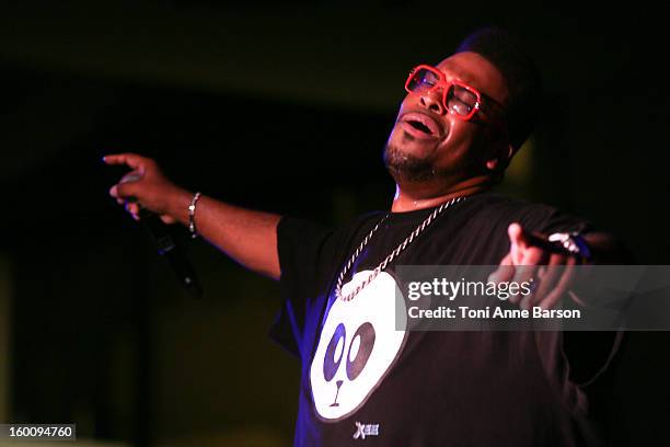 Singer Big Ali performs during "Before NRJ Music Awards 2013 Concert" at Palais des Festivals on January 25, 2013 in Cannes, France.