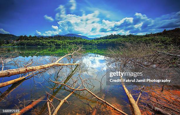 dead trees lake reflection - estado de selangor fotografías e imágenes de stock