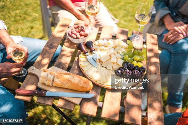 friends having a picnic - ostbricka bildbanksfoton och bilder