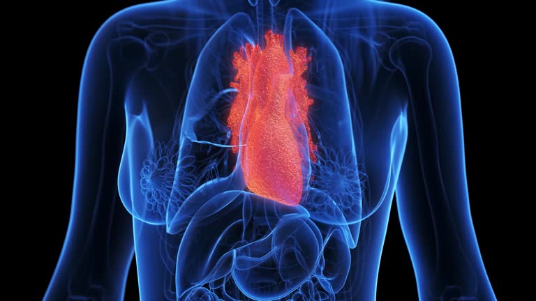 Inflamd Inflamed Lungs Videos and HD Footage - Getty Images