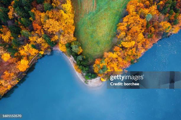 autumn at the lake - slovenia beach stock pictures, royalty-free photos & images