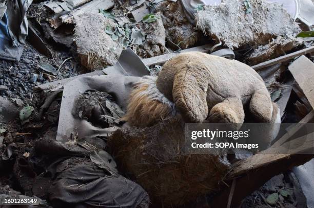 Teddy-bear seen among debris inside the house destroyed by Russian shelling in Stepne, near Zaporizhia. Russian forces conducted three missile...