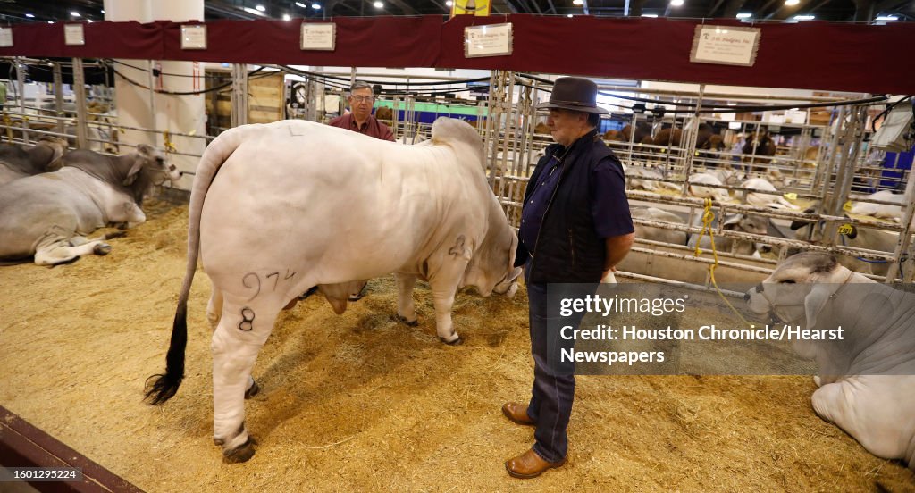 Houston Chronicle