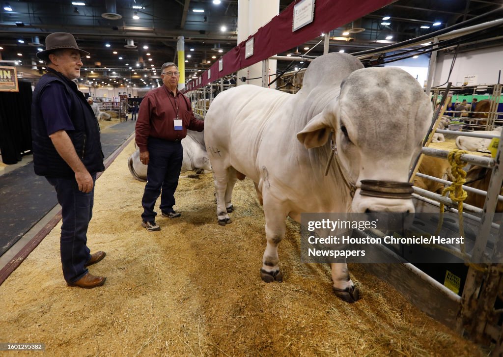 Houston Chronicle