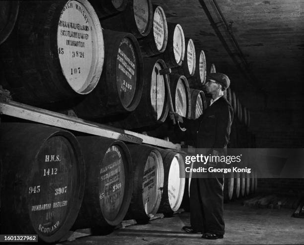 Warehouseman John Gillen taps Scotch whiskey casks with a hammer in the Hiram Walker and Sons distillery, Dumbarton, Scotland, March 1948.