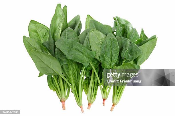 bunch of spinach leaves on a white background - spinach 個照片及圖片檔