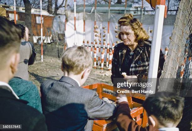 Boys at a coconut shy at an Easter Fair held on Hampstead Heath, London, 1956. Original publication: Picture Post - Easter Fair - unpub