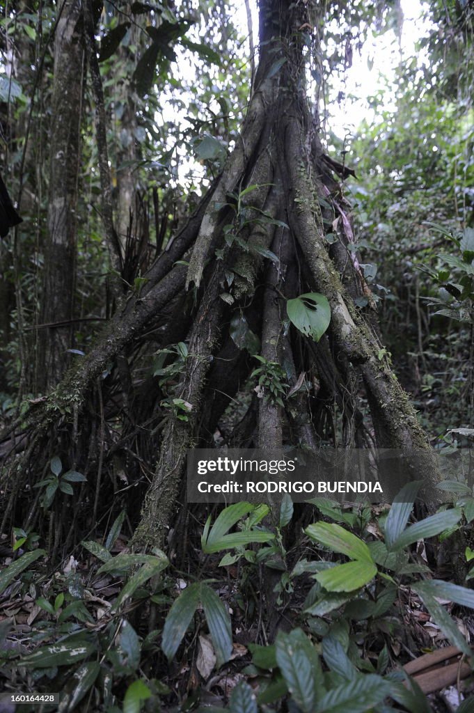 ECUADOR-ENVIRONMENT-CONSERVATION