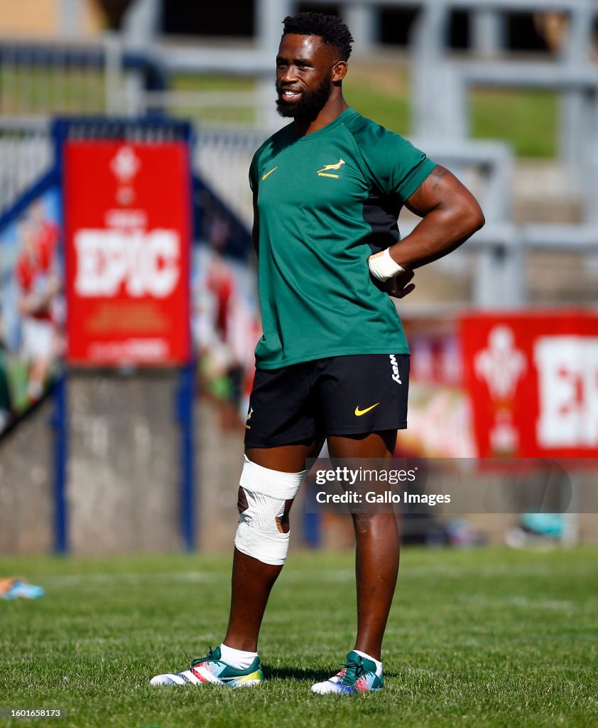 Rugby World Cup 2023: South Africa Training Session
