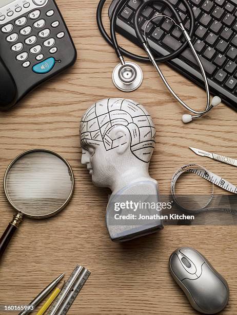 phrenology head on a doctors head side on - phrenology head stock pictures, royalty-free photos & images