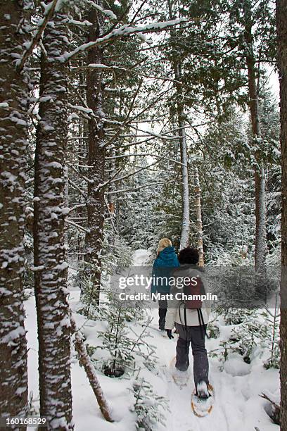 two women snowshoeing in the woods during winter - lake placid foto e immagini stock