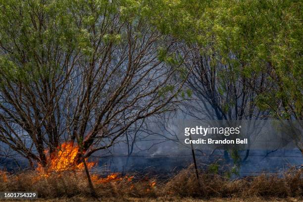 The remnants of a wildfire are seen burning on August 08, 2023 in Hays County, Texas. The city of Austin and its neighboring counties continue to...