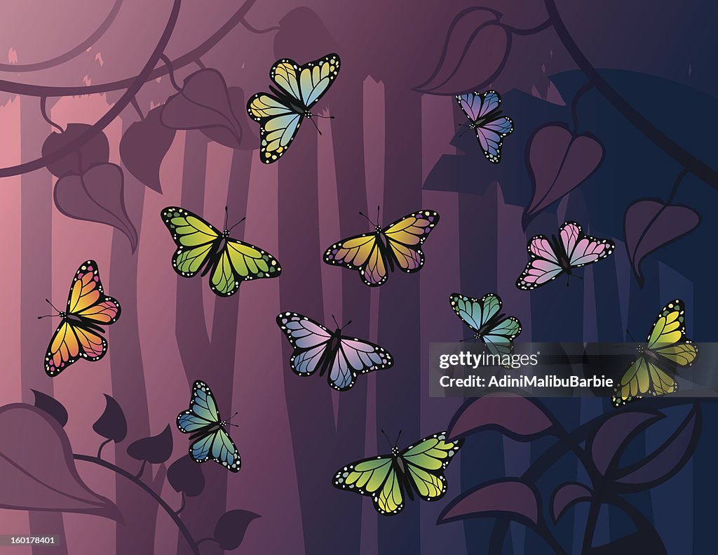 Butterflies