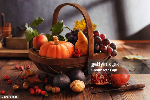 autumn crops in the basket - estação do ano imagens e fotografias de stock