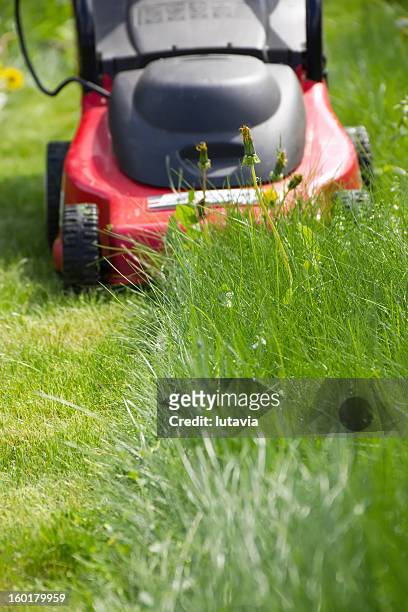 lawn mower - mowing stock pictures, royalty-free photos & images